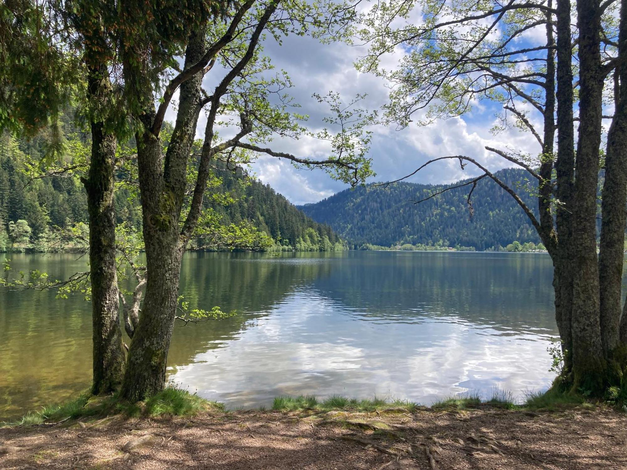 Le Perchoir, Gite 7 Personnes, Le Grand Valtin Ban-sur-Meurthe-Clefcy Exterior foto